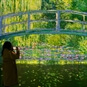 Frameless Immersive Art Experience Tickets London - Claude Monet Water Lily 